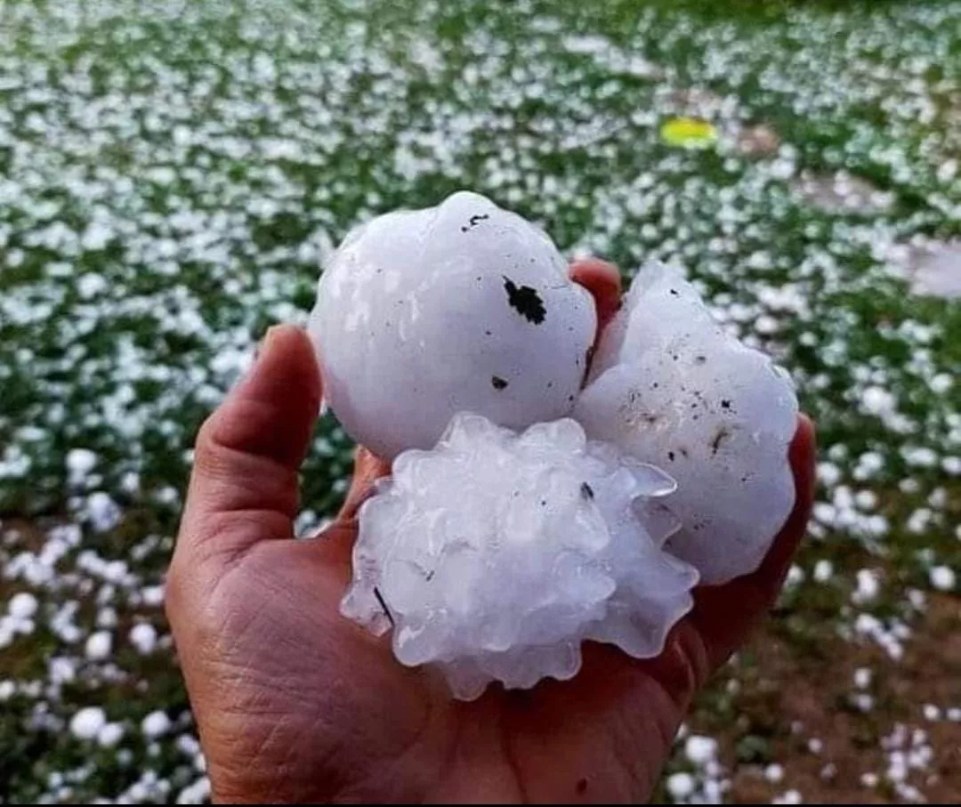 Un'immagine generica segnaposto con angoli arrotondati in una figura.